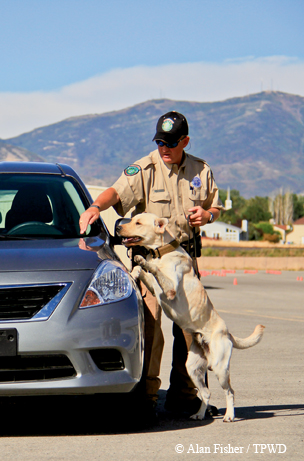 game wardens